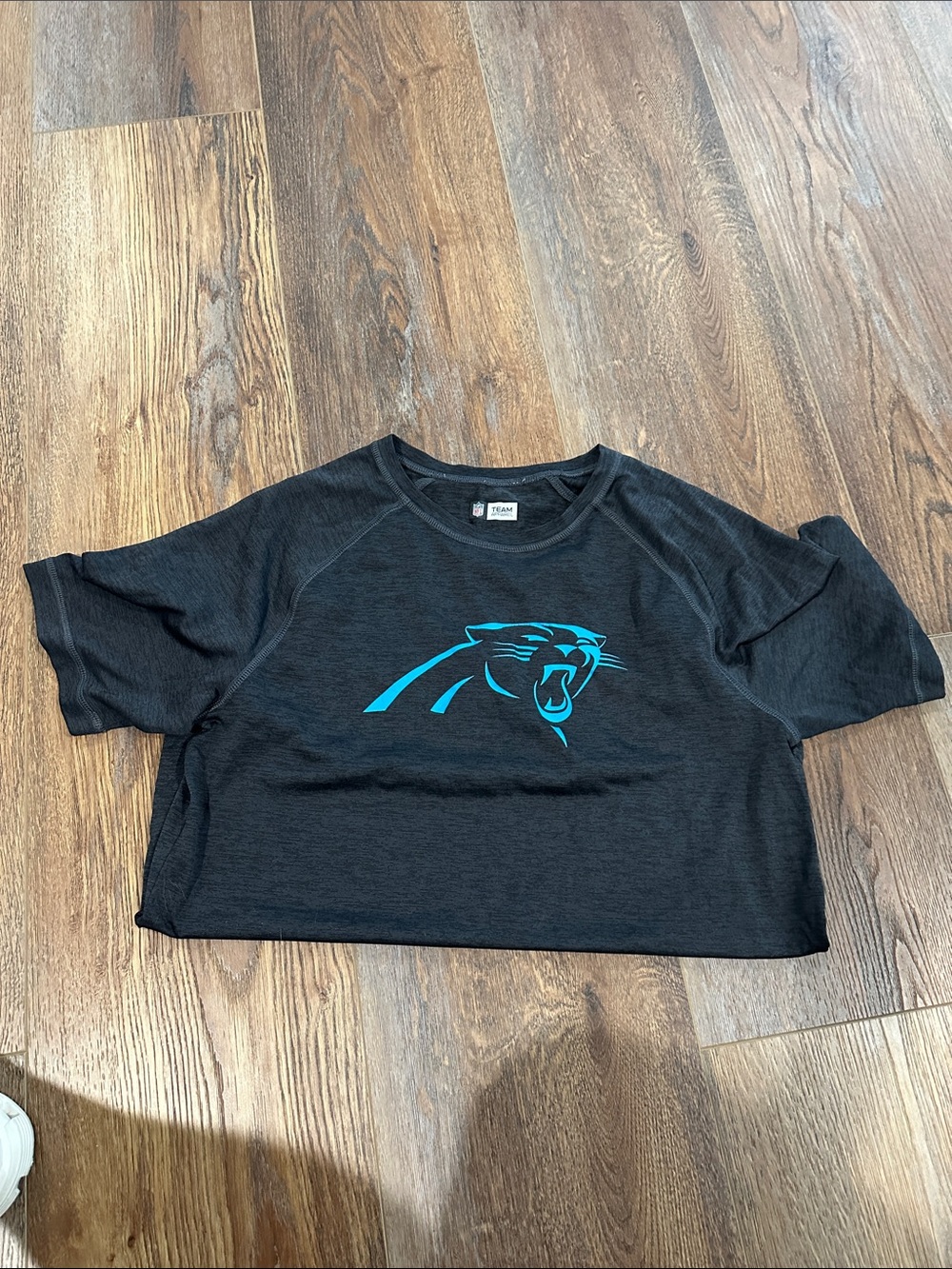 NFL Carolina Panthers Team Apparel Black Performance T-Shirt